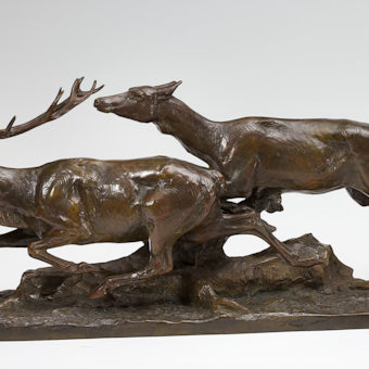 Stag and Doe