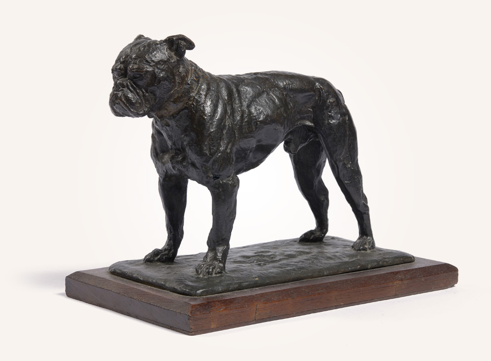  Bouledogue français 