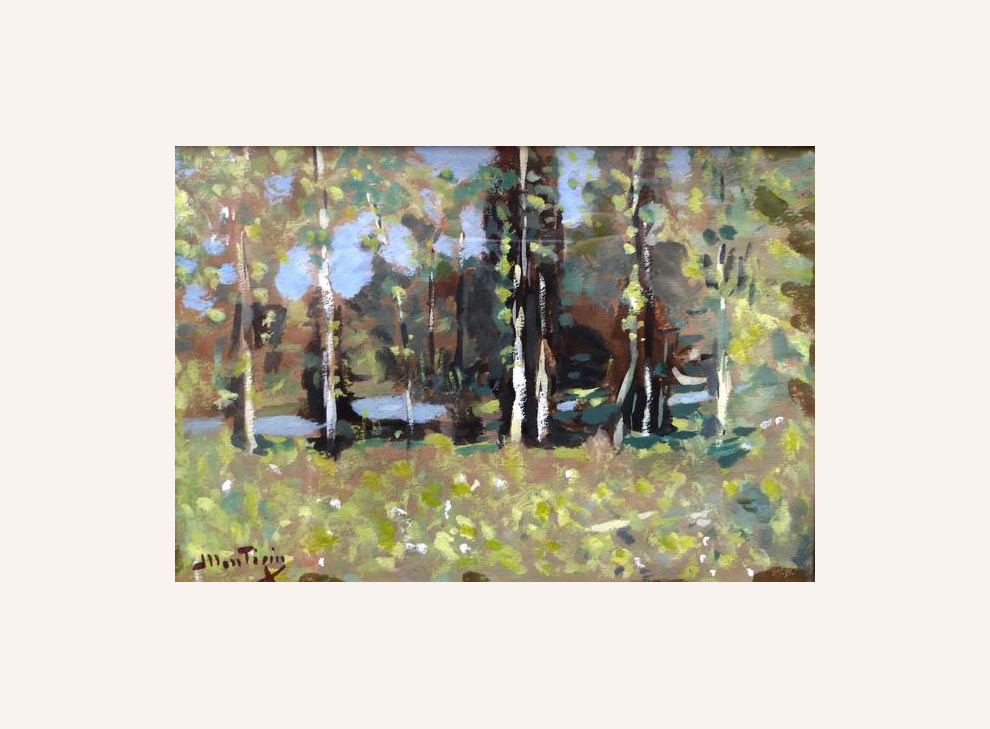 Forest Landscape by the River