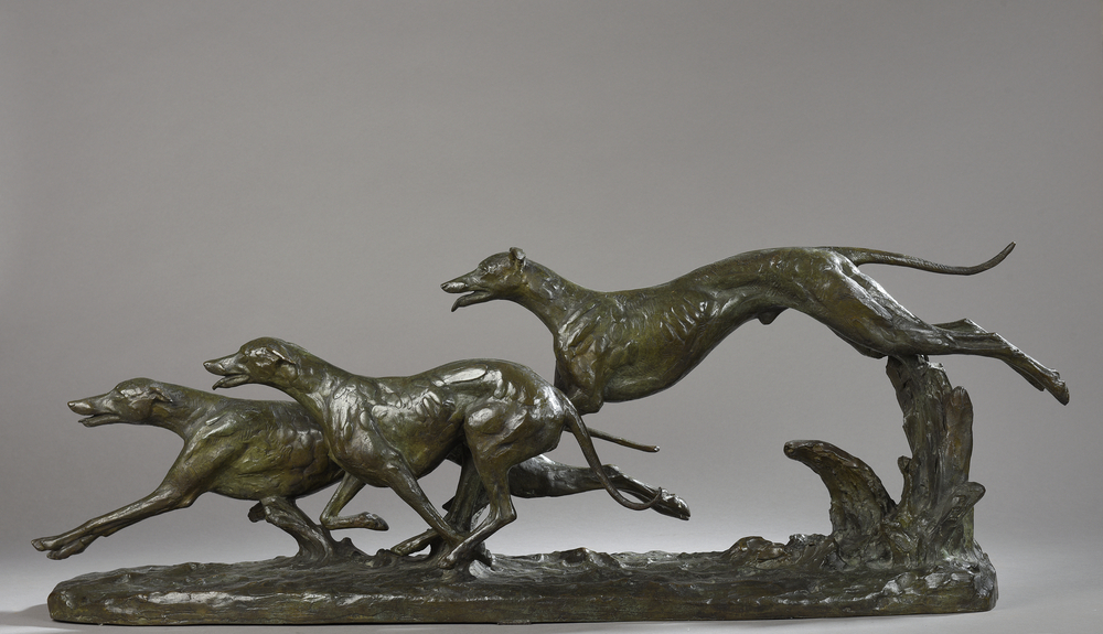 Drei um die Wette laufende Hunde