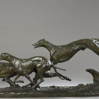 Three Dogs Racing