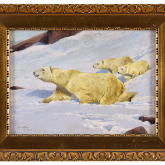 "Alert Polar Bear with Two Cubs