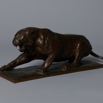 Snarling Tiger