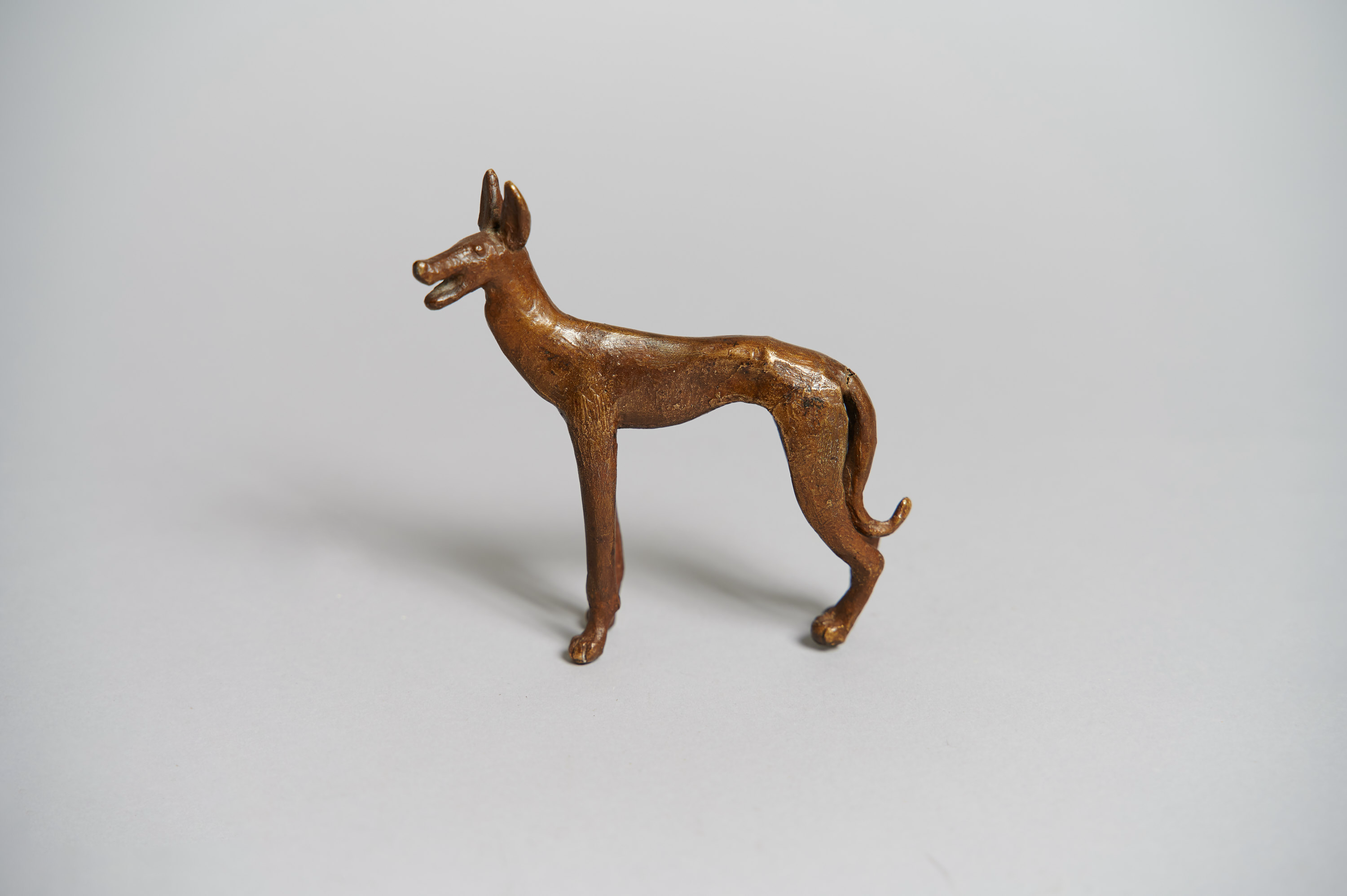 Pharaoh Hound