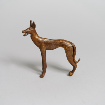 Pharaoh Hound
