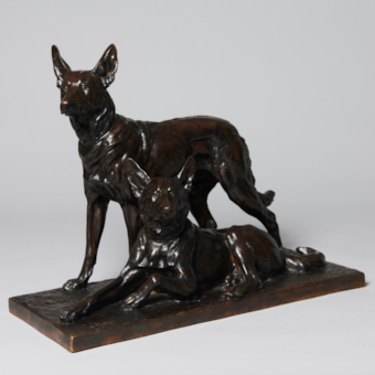 Zwei deutsche Schäferhunde