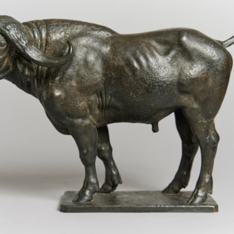 Buffalo