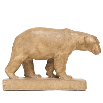 Polar Bear