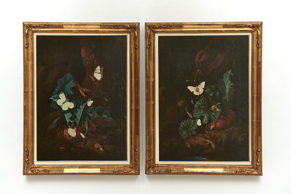 Forest Floor Still Life with Butterflies and Reptiles