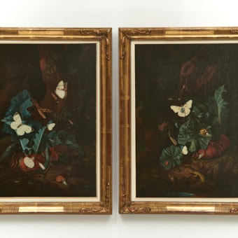 Nature morte au sol forestier avec des papillons et des reptiles