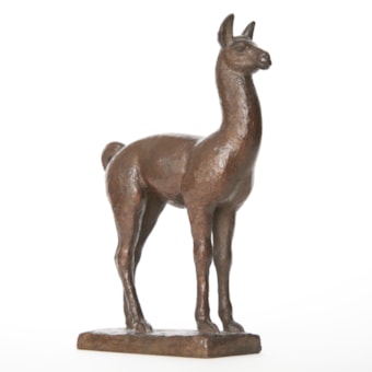 Llama