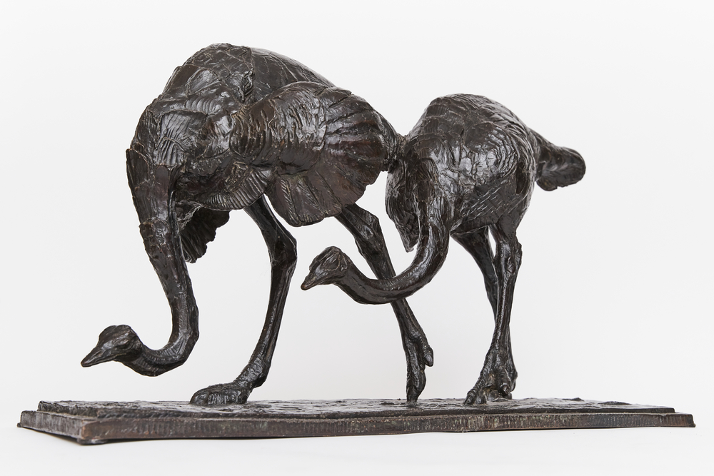 Striding Ostrich Pair