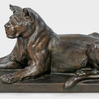 « Lionne au repos »