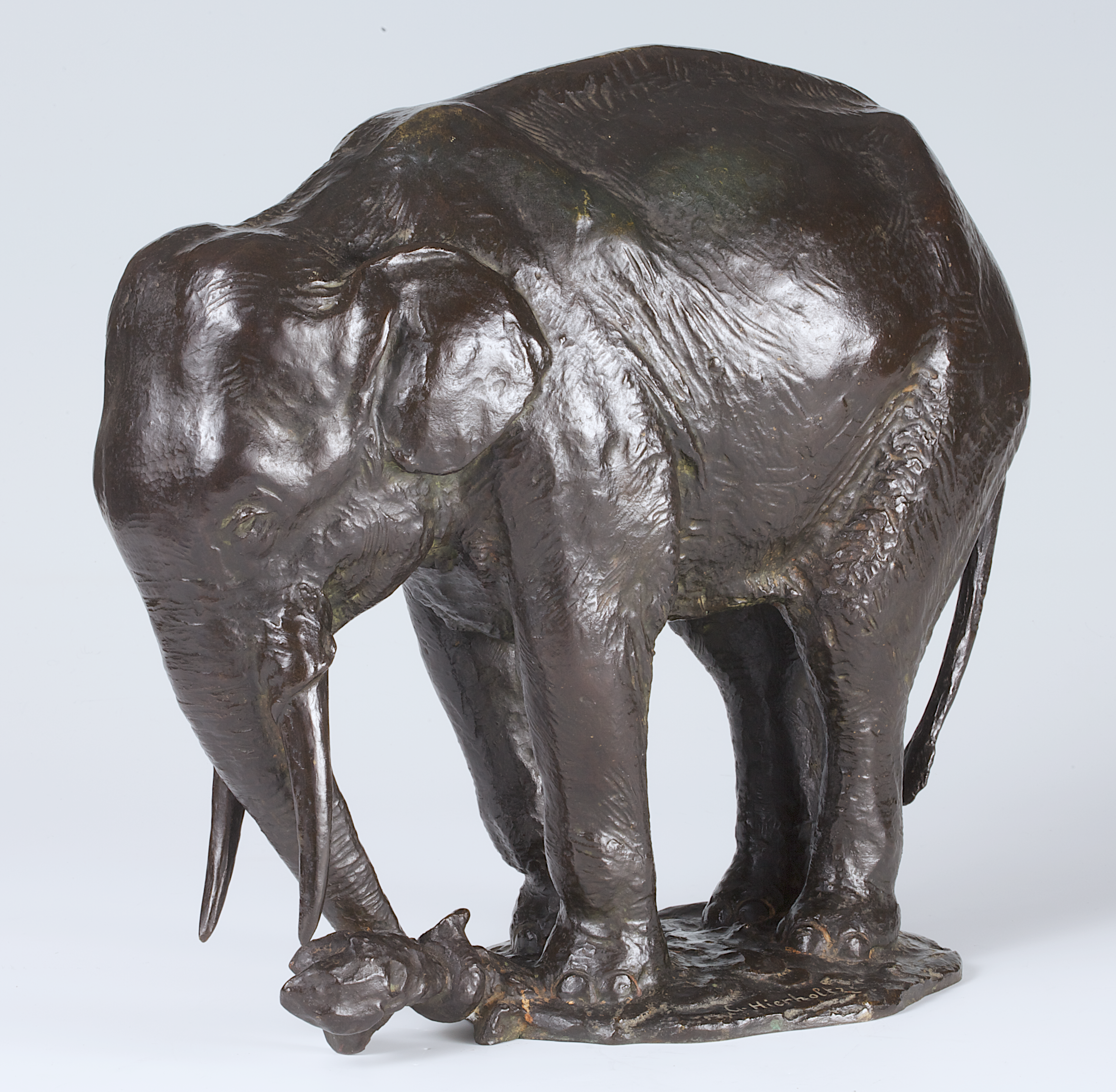 Elefant, einen Baumstumpf aufhebend