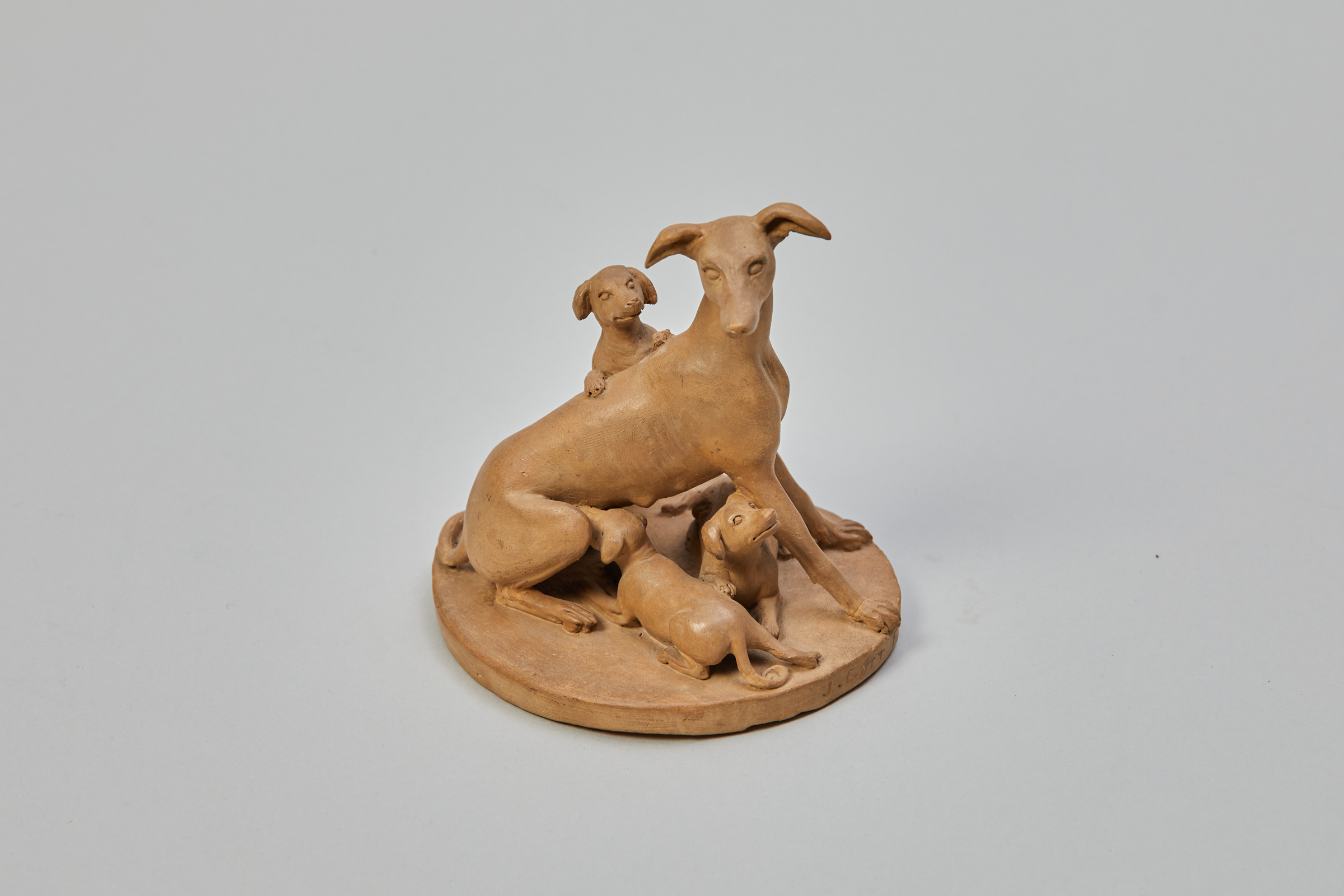 Un lévrier assis avec ses trois jeunes chiots