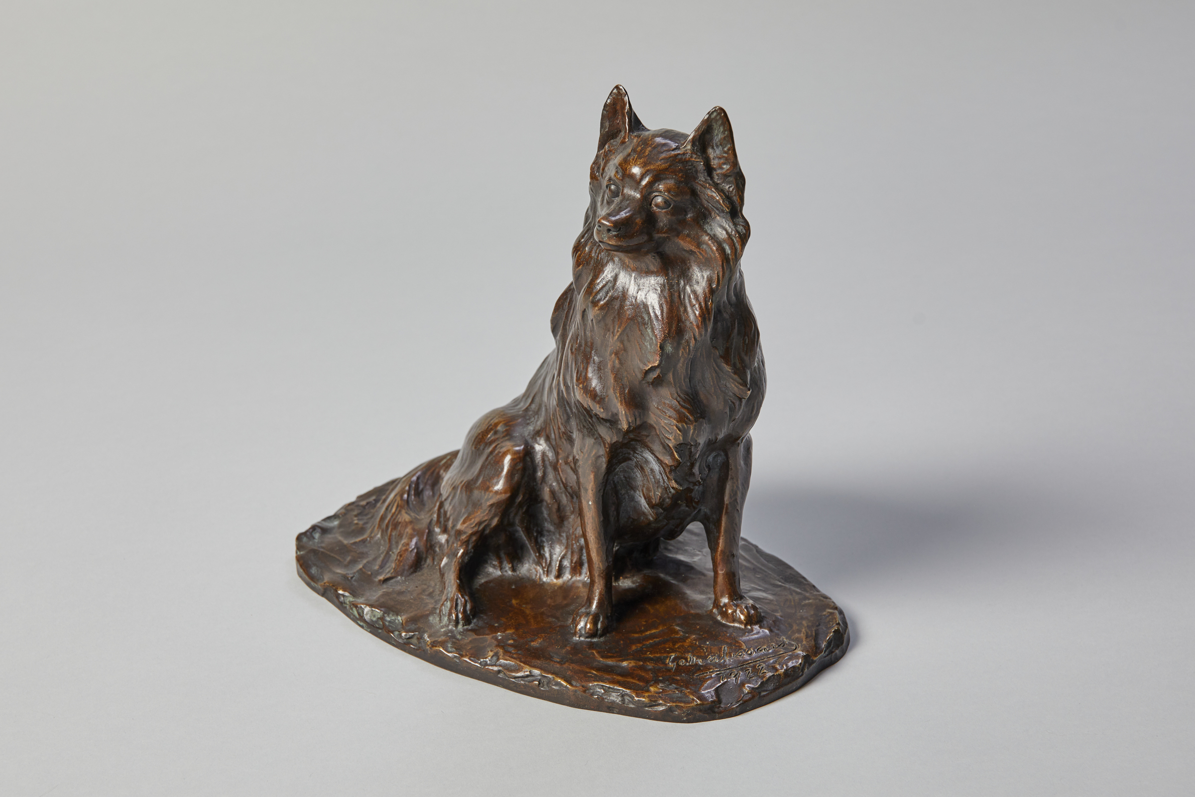 Seated Companion Dog