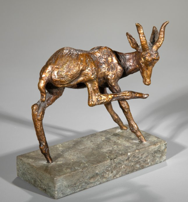 Antilope, sich den rechten Fuß leckend