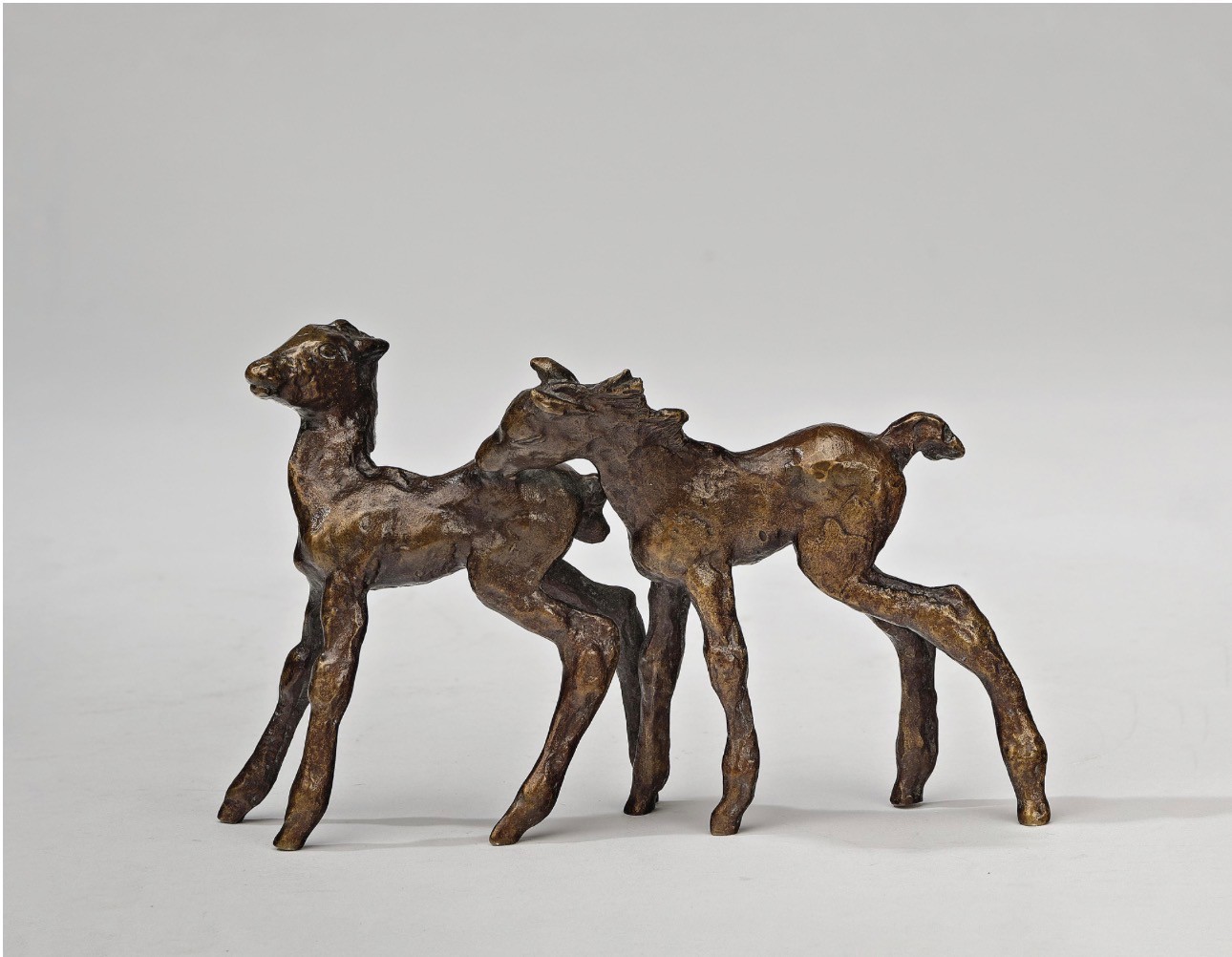 Pair of Foals