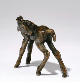 Foal Looking Back