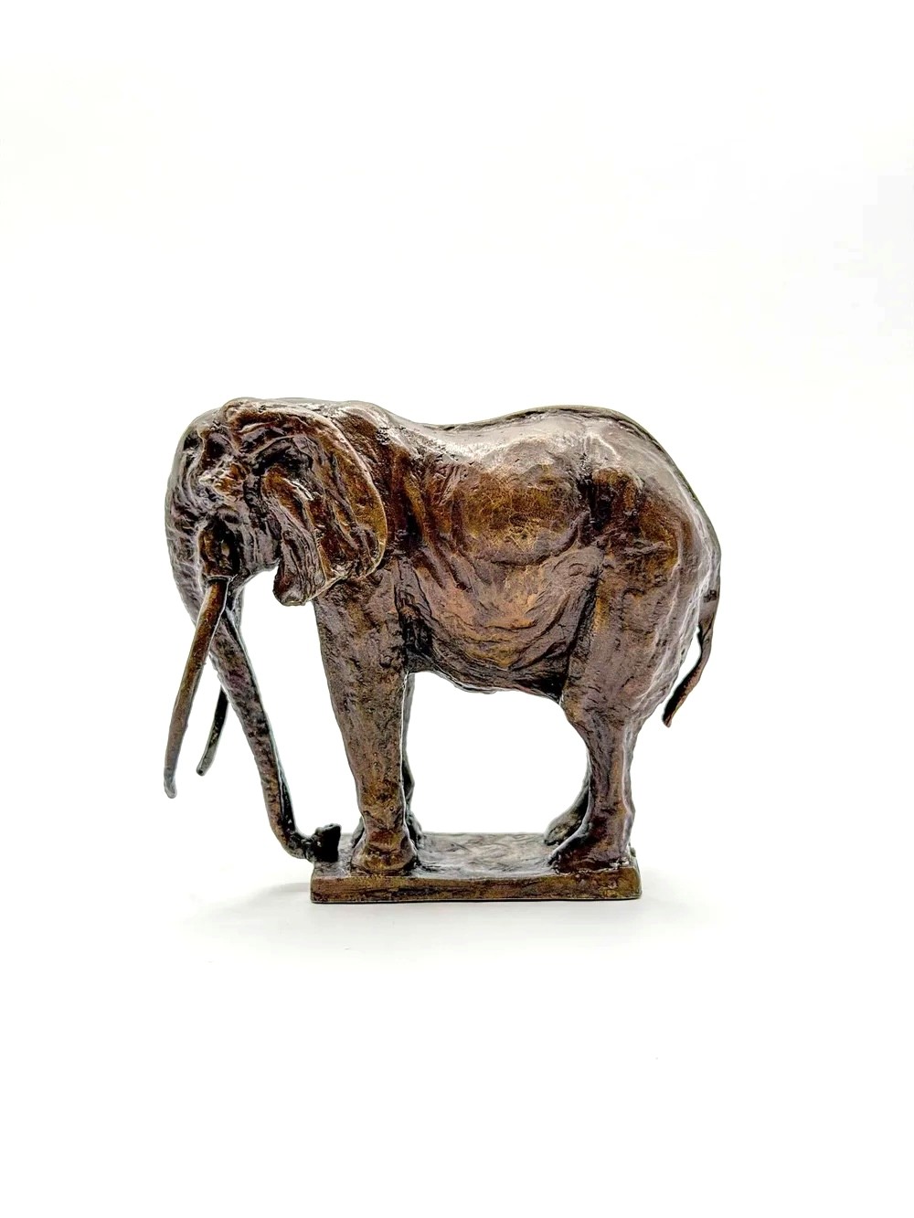 Mzee, African Elephant