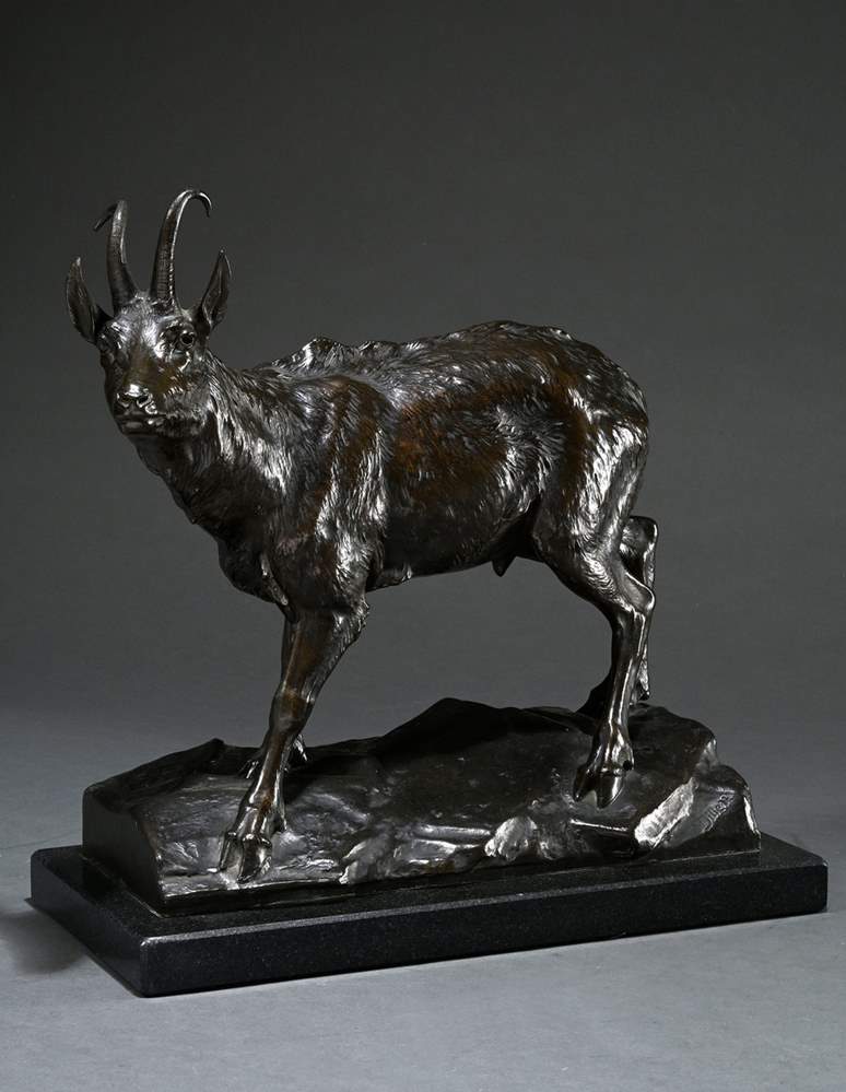 Chamois