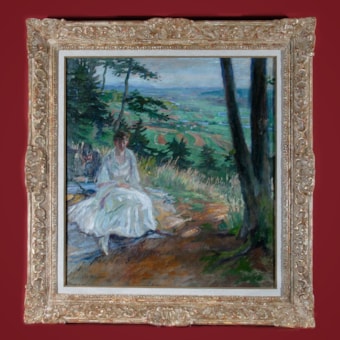 Vue sur la vallée