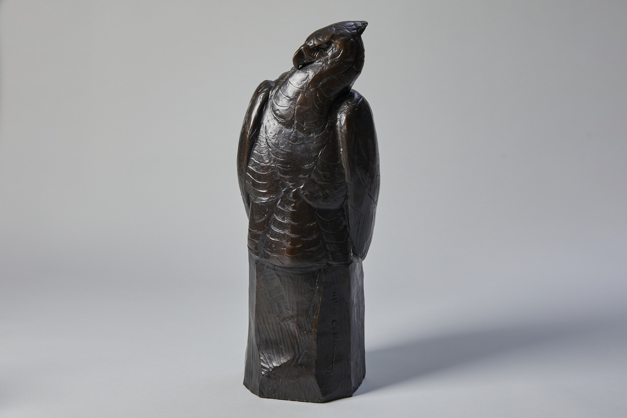 « Aigle assis sur un rocher »