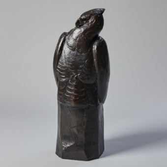 Eagle Sitting on a Rock